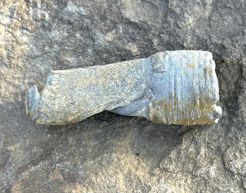 Click here to see the details of this item